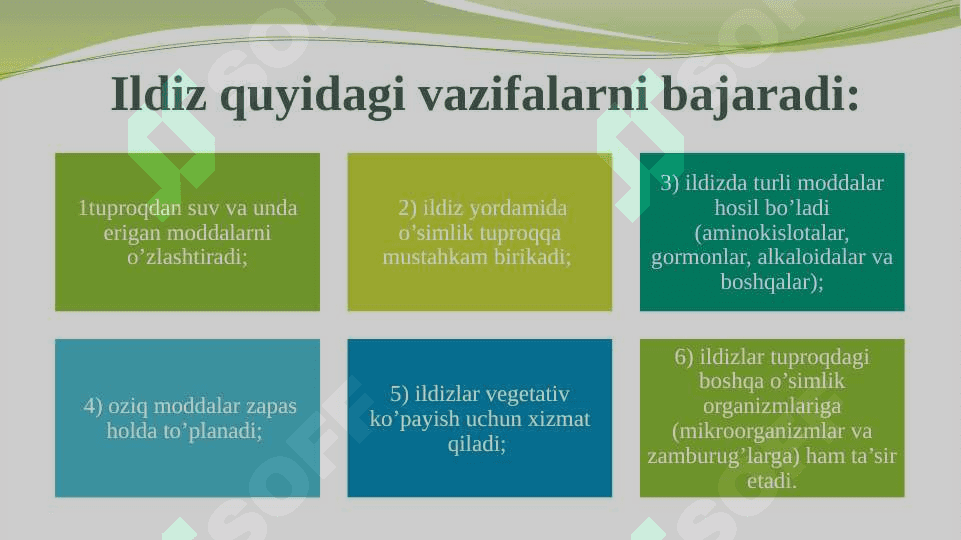 Qutblanish, yuksak o‘simliklarni vegetativ organlari: ildiz, poya va kurtak  tuzilishi. 4