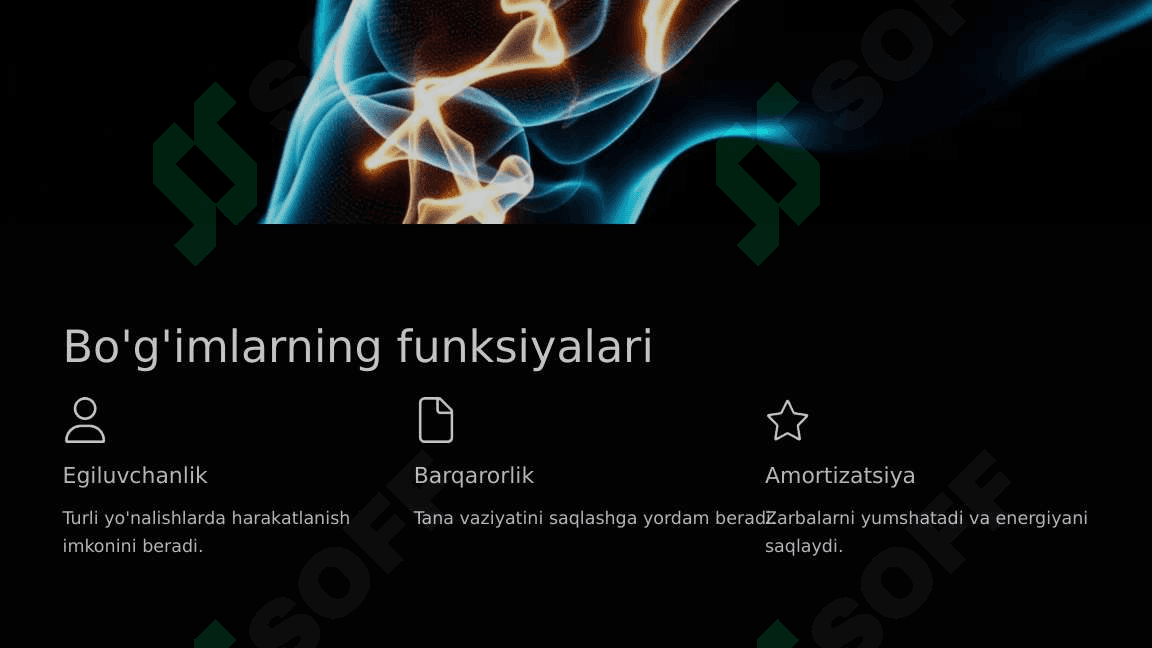 Bo'g'imlarning biomexanikasi 4