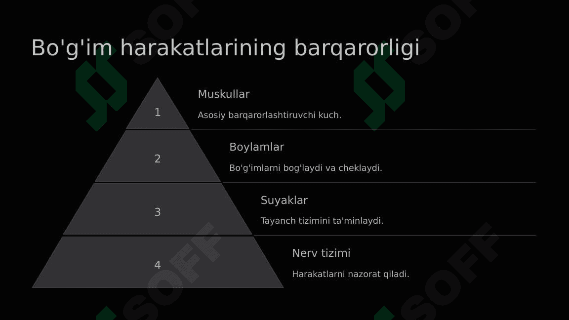 Bo'g'imlarning biomexanikasi 6