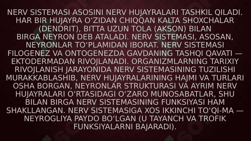 Nerv tizimi oliy bo’limlarining vazifalari 3