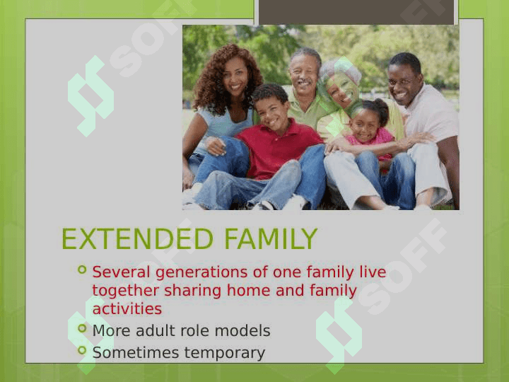Types of Families 6