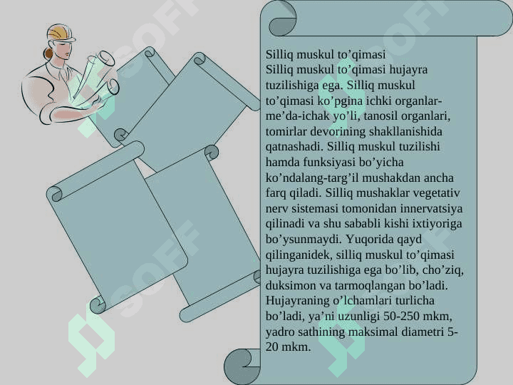 Muskullar tizimi 8