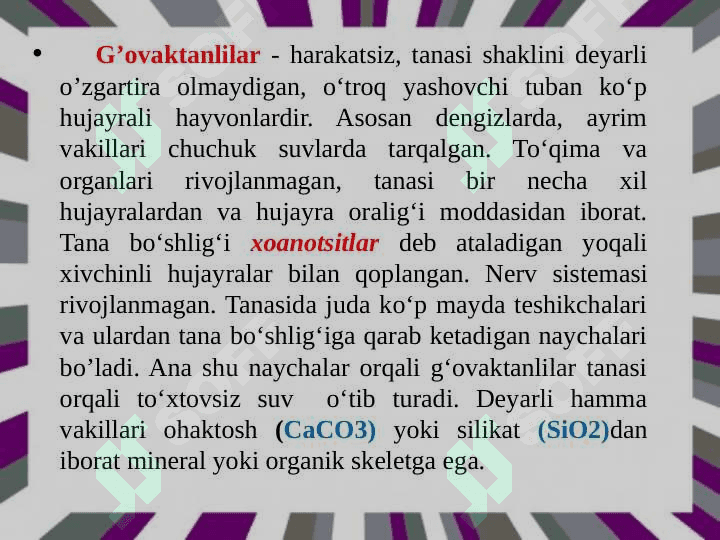 G‘ovaktanalilar tipi. Tuzilishi, ko‘payishi va rivojlanishi, g‘ovaktanalilarning ahamiyati 3