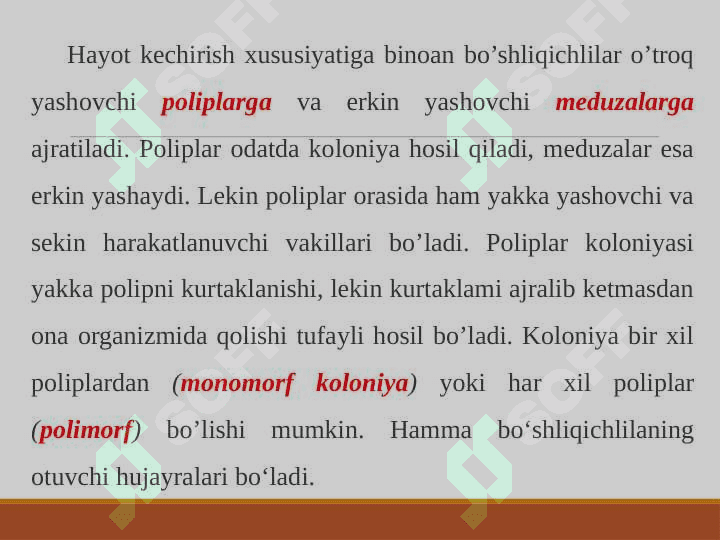 Bo’shliqichlilar tipi, umumiy tavsifi; tana shakli va simmatriyasi, ko’payishi va rivojlanishi. Sistematikasi hamda filogeniyasi. 4