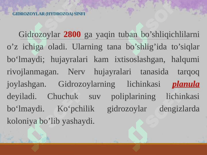 Bo’shliqichlilar tipi, umumiy tavsifi; tana shakli va simmatriyasi, ko’payishi va rivojlanishi. Sistematikasi hamda filogeniyasi. 7
