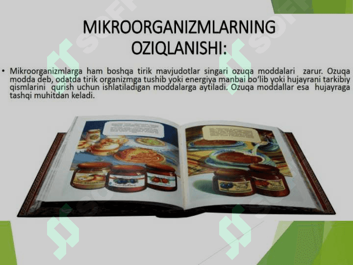 MIKROORGANIZMLARNING OZIQLANISHI 3
