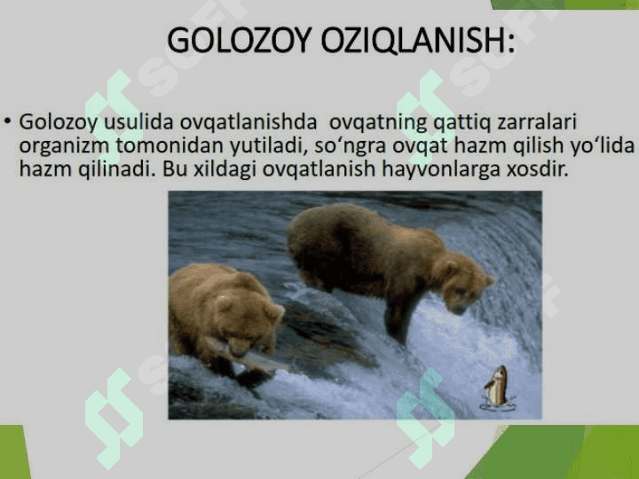 MIKROORGANIZMLARNING OZIQLANISHI 7