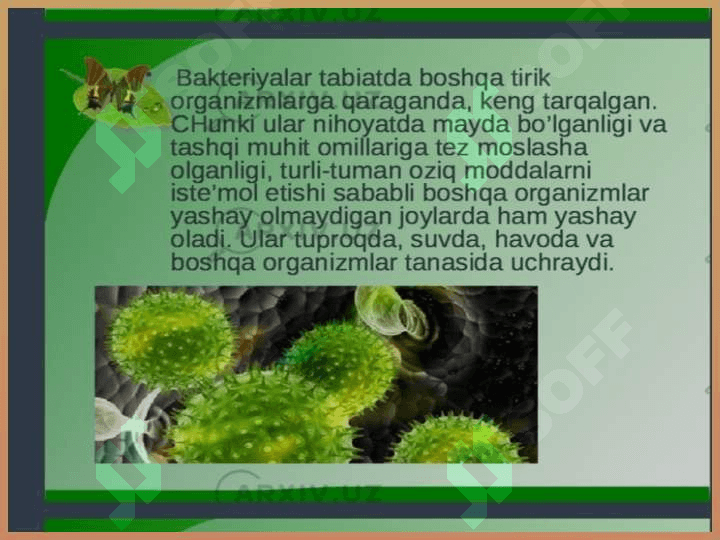 Biosfera va mikroorganizmlar ekologiyasi 2