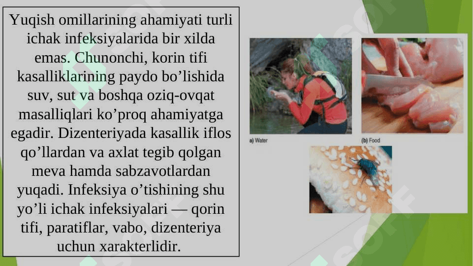 Mikroorganizmlarning qishloq xo‘jaligi ahamiyati 8