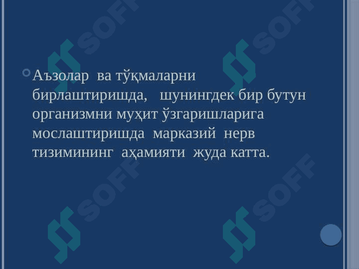 МАРКАЗИЙ НЕРВ ТИЗИМИ  ФИЗИОЛОГИЯСИ 4