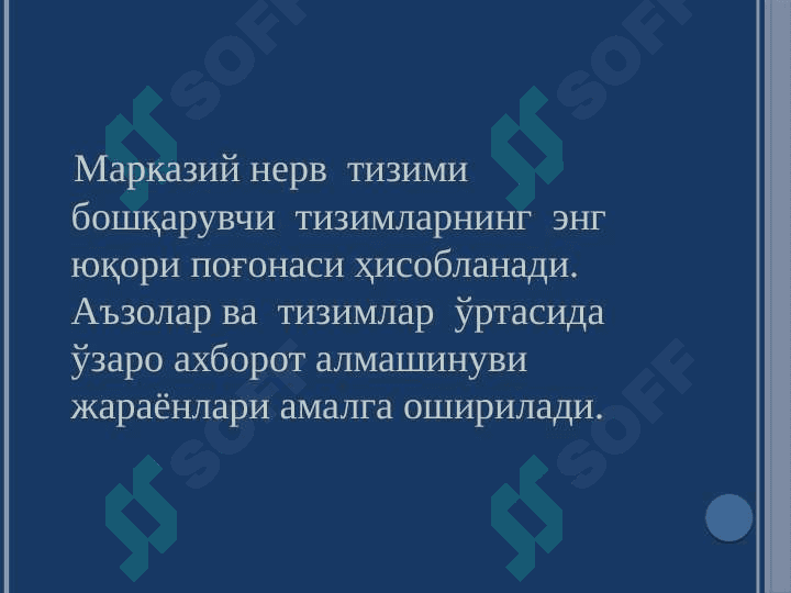 МАРКАЗИЙ НЕРВ ТИЗИМИ  ФИЗИОЛОГИЯСИ 5
