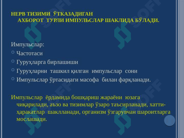 МАРКАЗИЙ НЕРВ ТИЗИМИ  ФИЗИОЛОГИЯСИ 6