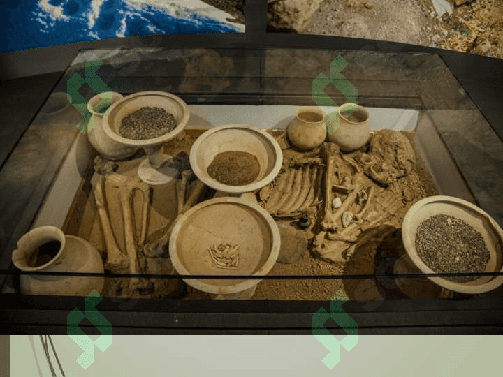 Arxeologiya va yordamchi fanlar 24 6