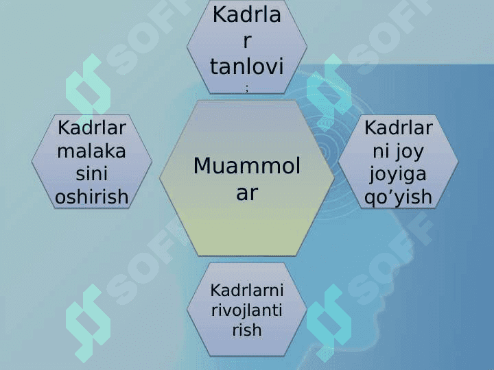 Inson resurslarini (HR) boshqarish asoslari va tashkiliy tuzilmasi.  Inson resurslarini rejalashtirish 2