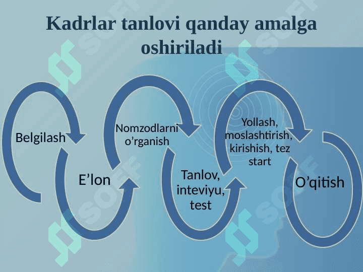 Inson resurslarini (HR) boshqarish asoslari va tashkiliy tuzilmasi.  Inson resurslarini rejalashtirish 6