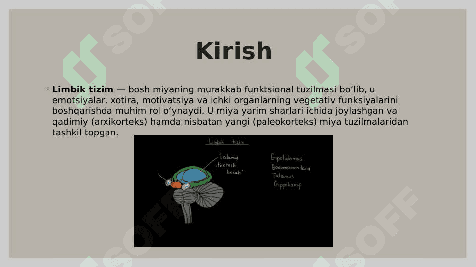 Limbik tizim 2