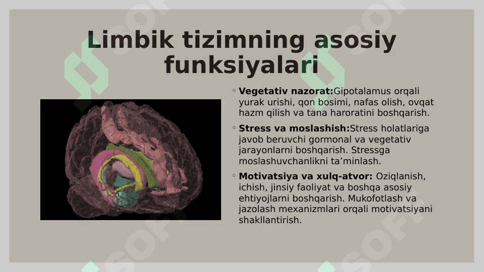 Limbik tizim 4