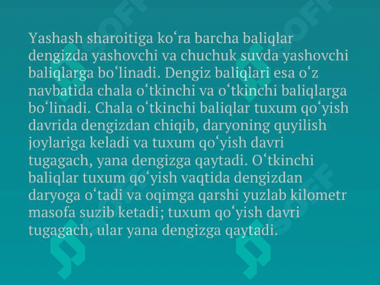 Dengiz va okeanlarda baliq ovlash 2
