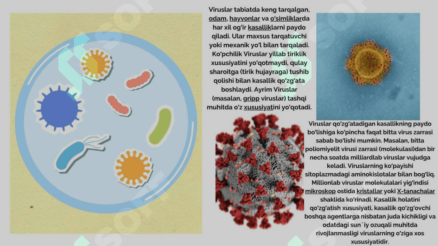 Viruslar ekologiyasi, ularga xaroratni, namlikni, pH muhitini, yorug'likni, kimyoviy va biologik vositalarini ta'siri. 4