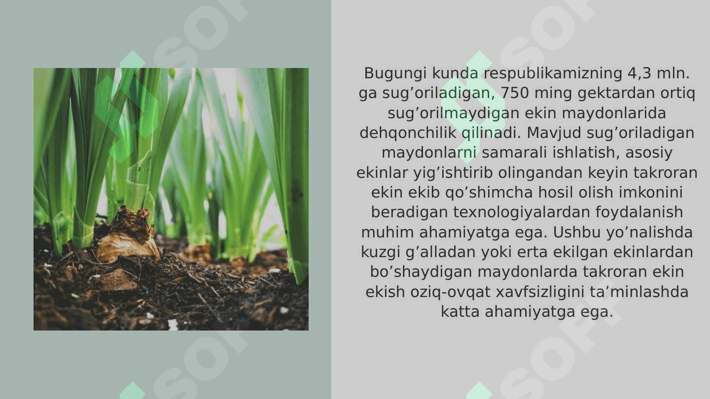 Tuproq yuzasiga asosiy ishlov berish mashina turlari va vazifasi, tuzilishi, texnologik jarayonlar 3