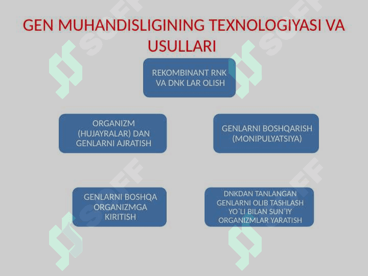 GEN MUHANDISLIGI TADQIQOT OBYEKTLARI VA  RIVOJLANISH TARIXI 3
