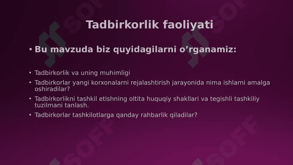 Tadbirkorlik faoliyati 2