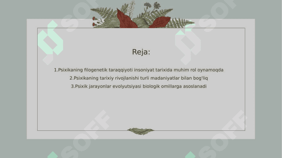 Psixikaning filogenetik taraqqiyoti 2