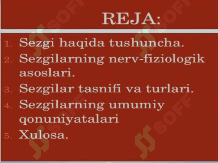 Sezgi 2