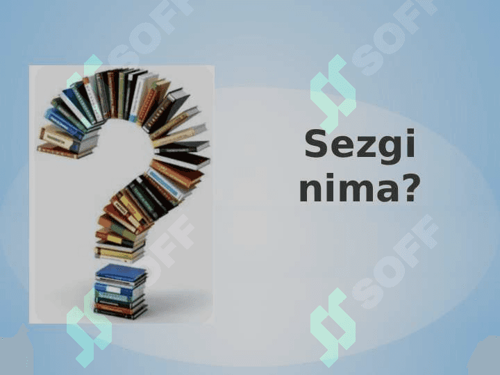 Sezgi 3