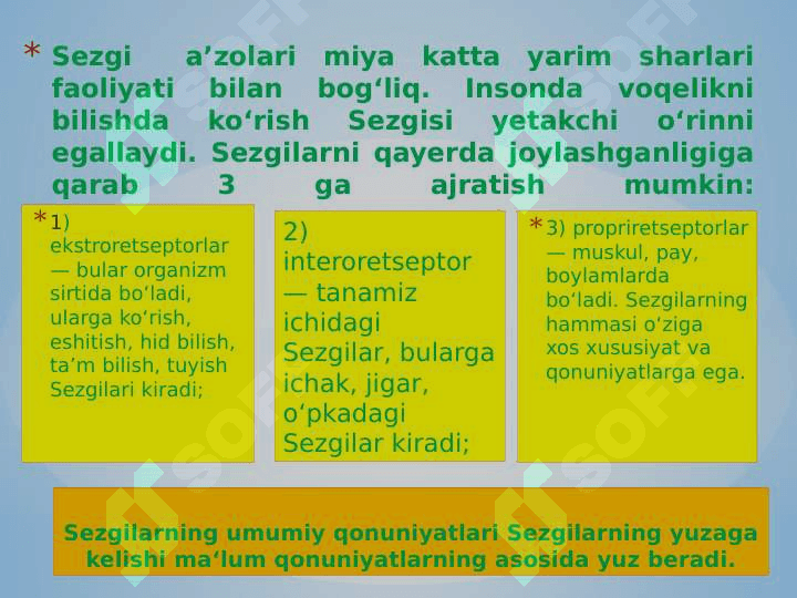 Sezgi 6