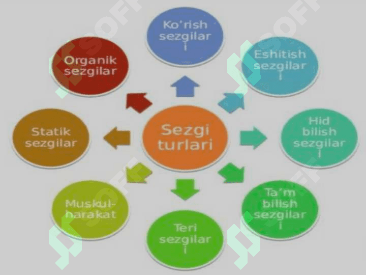 Sezgi 7
