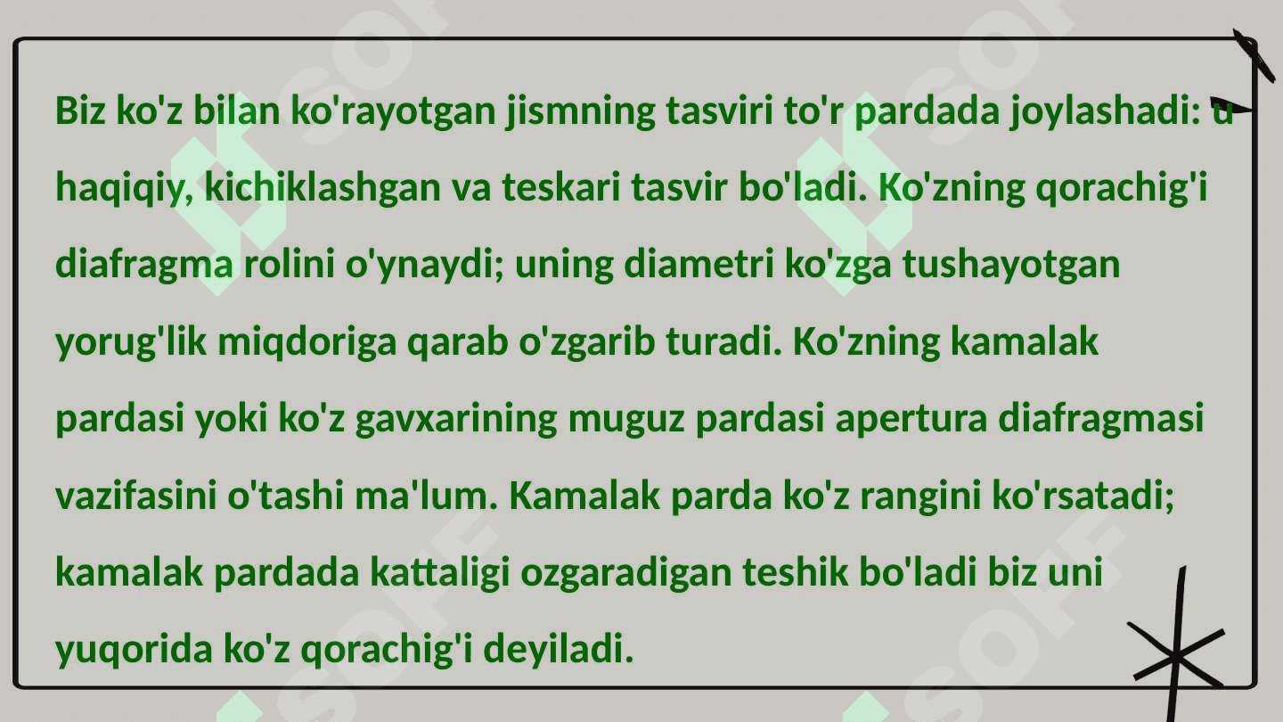 Ko‘zning optik sistemasi 5