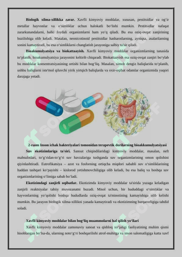 Sanoat ishlab chiqarishda xavfli kimyoviy moddalar va ularning ekotizimga ta'siri 3