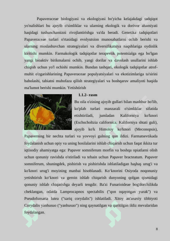 KO’KNORDOSHLAR OILASI(PAPAVERACEAE)GA UMUMIY TAVSIFI (2).doc 8
