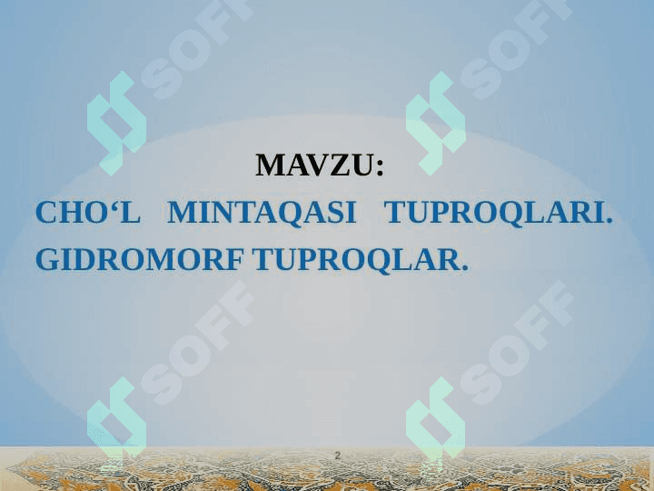 CHO‘L MINTAQASI TUPROQLARI. GIDROMORF TUPROQLAR 2