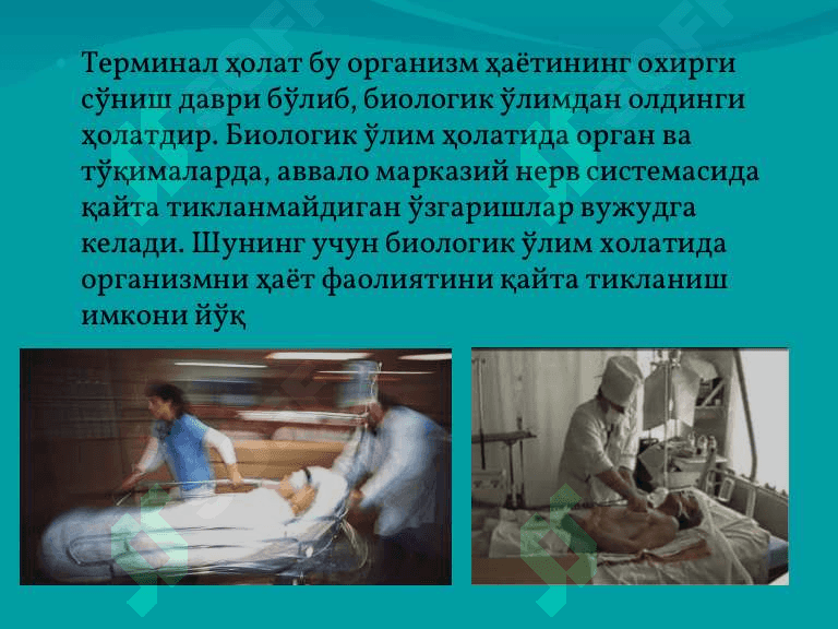 Терминал холатлар 2