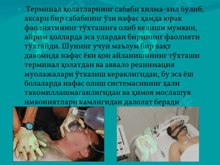 Терминал холатлар 4