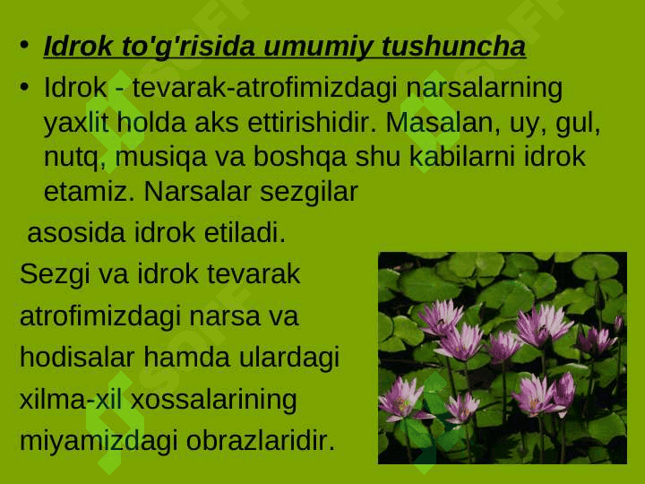 Idrok va uning o’ziga xos xususiyatlari 2