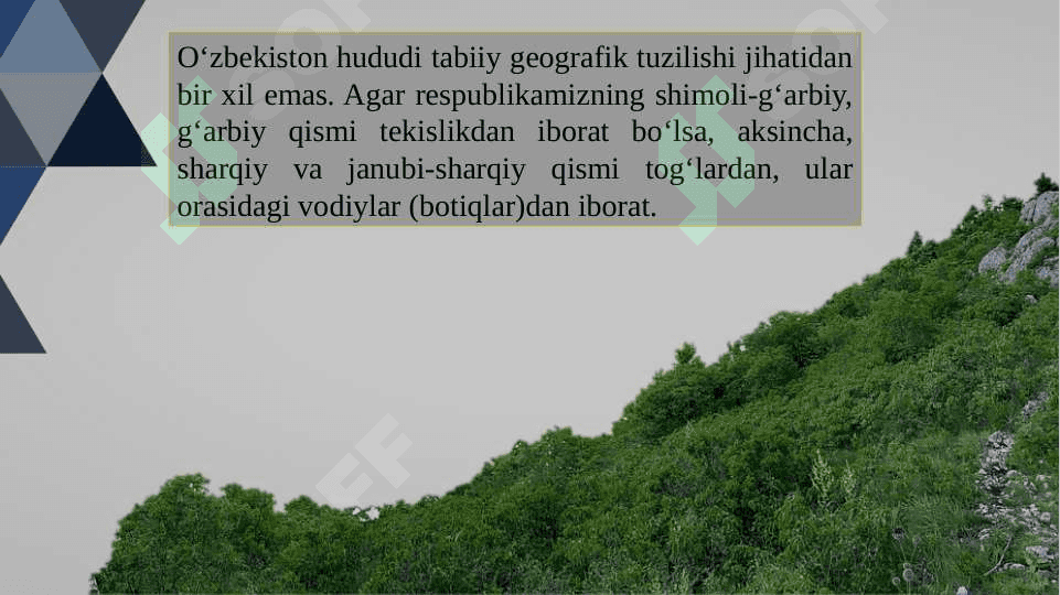 O‘ZBEKISTON TEKISLIK KICHIK PROVINSIYASI OKRUGLARIGA TAVSIF 2