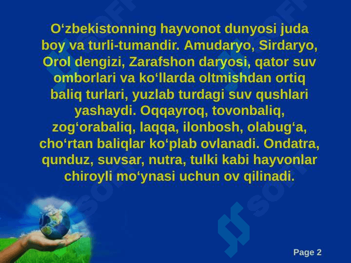 O‘zbekistonning hayvonot olami 2