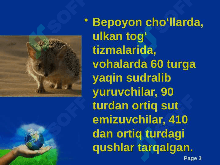 O‘zbekistonning hayvonot olami 3