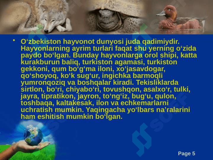 O‘zbekistonning hayvonot olami 5