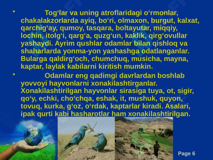 O‘zbekistonning hayvonot olami 6