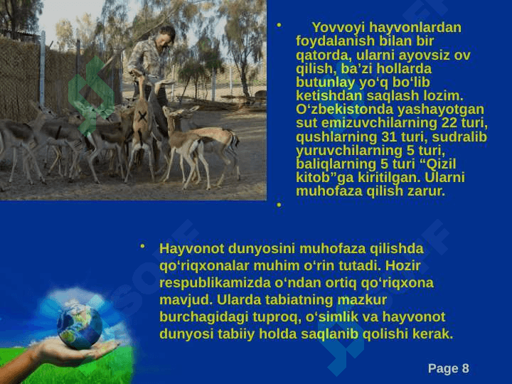 O‘zbekistonning hayvonot olami 8