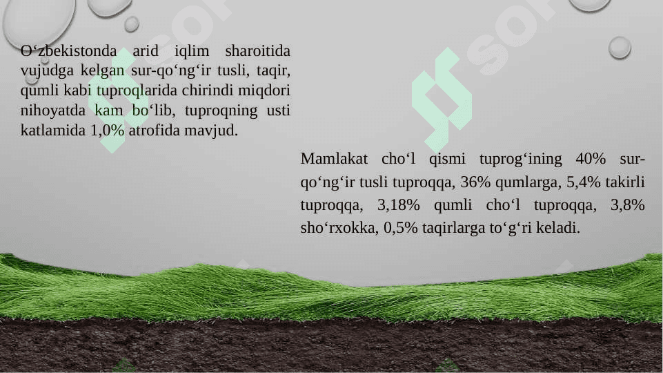 O'zbekistonning tuproq, o'simlik va hayvonoti 3