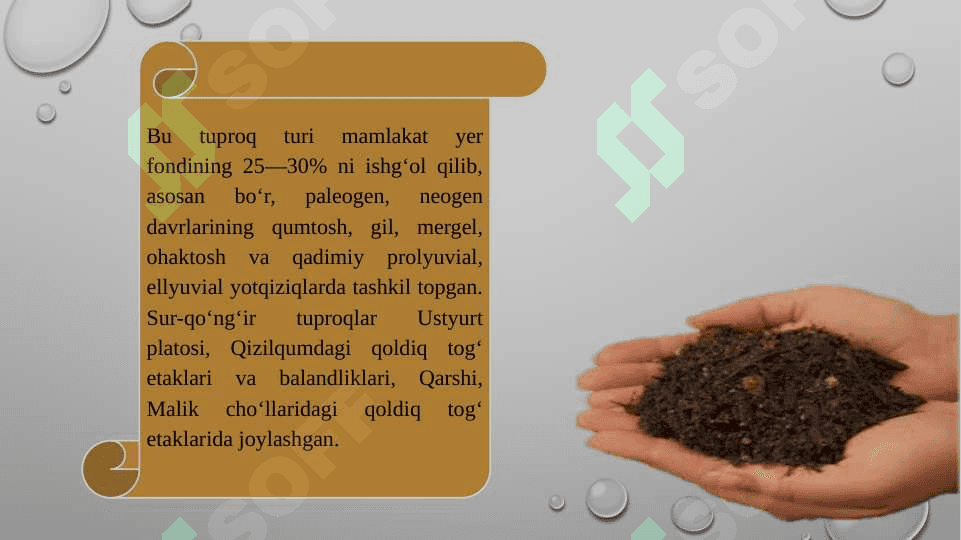 O'zbekistonning tuproq, o'simlik va hayvonoti 4