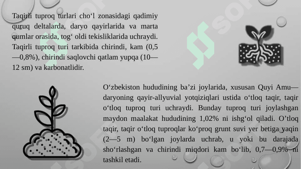O'zbekistonning tuproq, o'simlik va hayvonoti 5