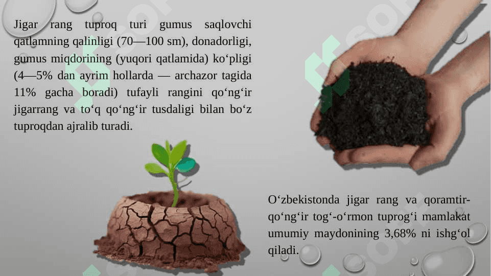 O'zbekistonning tuproq, o'simlik va hayvonoti 7