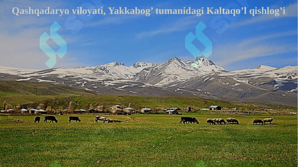 Toponimlarning to’g’ri yozilish tartiblari 4
