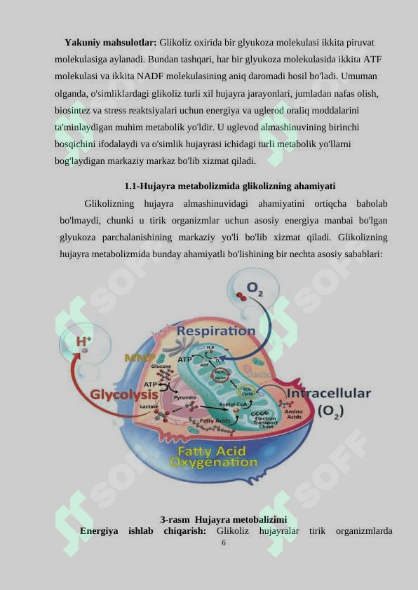 Glikoliz va uning hujayra metabolizmidagi o'rni. 6